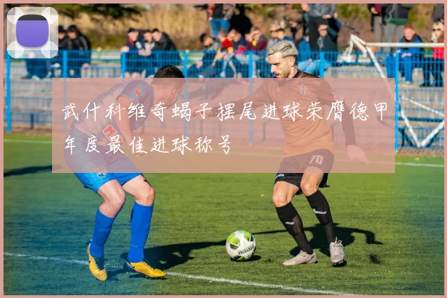 武什科维奇蝎子摆尾进球荣膺德甲年度最佳进球称号