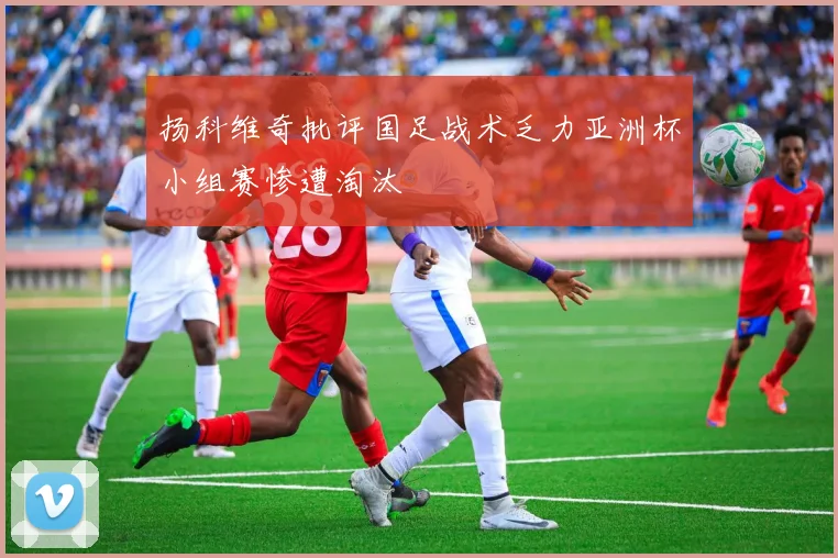 扬科维奇批评国足战术乏力亚洲杯小组赛惨遭淘汰