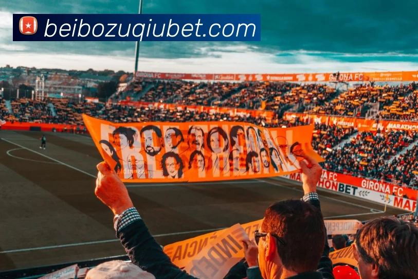 多媒体互动体验