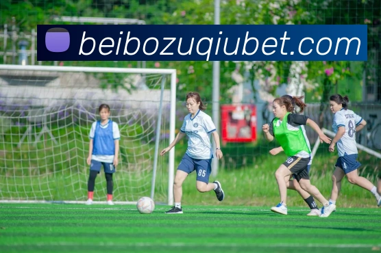 贝博体育APP 高清赛事图